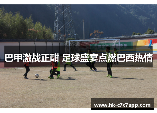 巴甲激战正酣 足球盛宴点燃巴西热情